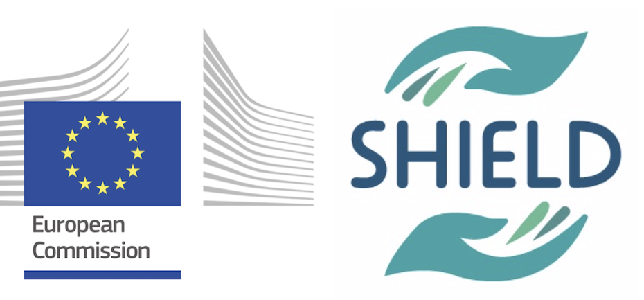 Centro Internazionale di Ricerca Sistemica Progetto SHIELD Nuovo Logo News